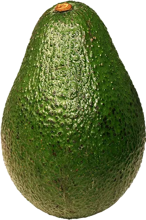 Fresh Avocado Single Fruit PNG Image