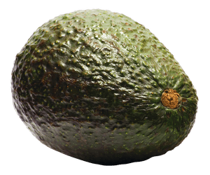 Fresh Avocado Single Fruit PNG image with transparent background