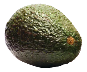 Fresh Avocado Single Fruit PNG Image