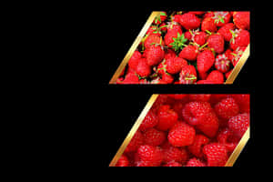 Fresh Berries Diptych PNG image with transparent background