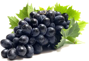 Fresh Black Grapes Cluster PNG Image