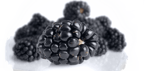 Blackberry , Png Download - Blackberry, Transparent Png PNG image with transparent background