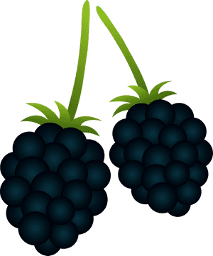 Blackberry Cliparts - Blackberry Clipart, HD Png Download PNG image with transparent background