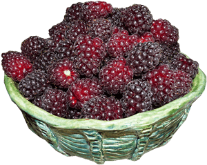 Transparent Blackberries Png - Boysenberry, Png Download PNG image with transparent background