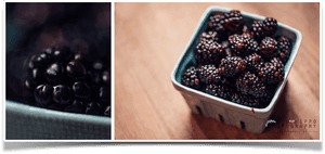 Pittsburgh Photography - Blackberry, HD Png Download PNG image with transparent background