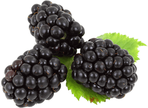 Blackberry Png - Blackberry Png Transparent Background, Png Download PNG image with transparent background