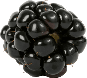 Blackberry Png Image - Blackberry Transparent, Png Download PNG image with transparent background