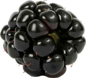 Fresh Blackberry Closeup PNG Image