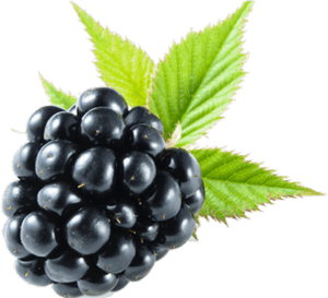 Blackberry Fruit Png Transparent Images - Blackberry Png, Png Download PNG image with transparent background