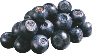 Now You Can Download Blueberries Icon Clipart - Blueberry Blackcurrant, HD Png Download PNG image with transparent background