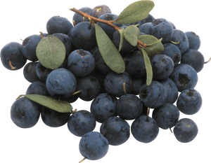 Bunch Of Blueberries, HD Png Download PNG image with transparent background