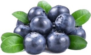 Blueberry Png Background Images - Blue Transparent Background Blueberry Png, Png Download PNG image with transparent background