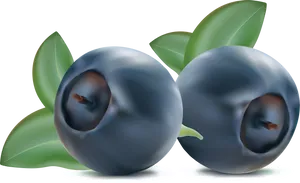 Fresh Blueberries Illustration PNG Image