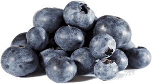 Transparent Blueberry Png - Blueberries, Png Download PNG image with transparent background