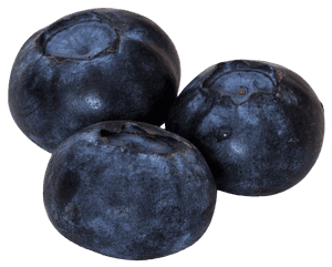 Fresh Blueberries Isolated PNG image with transparent background