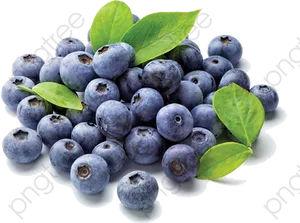 Fresh Blueberries With Leaves.png PNG Image