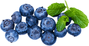 Fresh Blueberries Png Image - Blueberry Hd Transparent, Png Download PNG image with transparent background