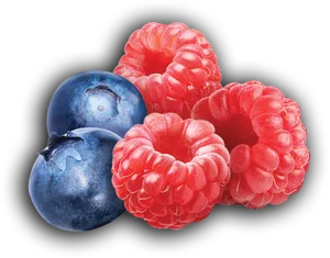 Fresh Blueberriesand Raspberries PNG Image