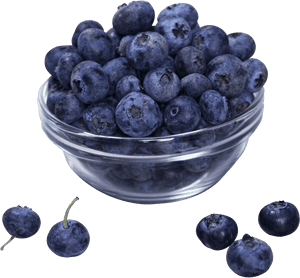 26680 - Transparent Background Many Blueberry Png, Png Download PNG image with transparent background