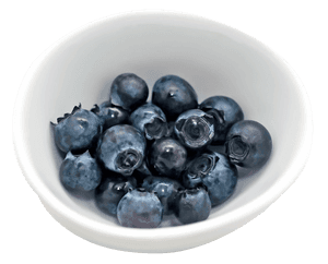 Fresh Blueberriesin White Bowl PNG image with transparent background