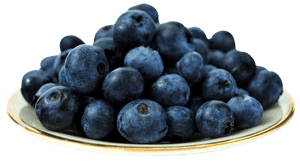 Fresh Blueberrieson Plate PNG image with transparent background