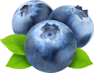 Free Png Blueberries Png Images Transparent - Transparent Background Blueberry Clipart, Png Download PNG image with transparent background