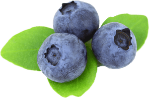 Blueberry Png Free Download - Blueberry Images Free, Transparent Png PNG image with transparent background
