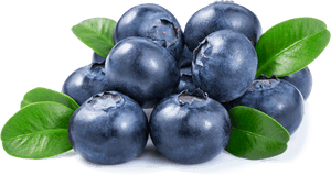 Blueberries Png, Transparent Png PNG image with transparent background