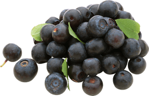 Blueberry, HD Png Download PNG image with transparent background