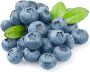 Blueberry Png Photo - Fresh Blueberries, Transparent Png PNG image with transparent background