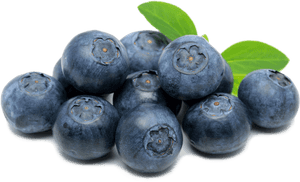 Blueberries Png Hd Image - Blueberry On Transparent, Png Download PNG image with transparent background