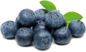 Fresh Blueberrieswith Leaves.png PNG Image