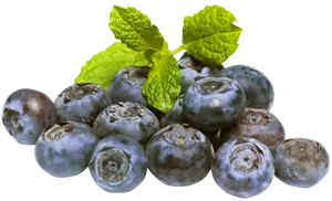 Fresh Blueberrieswith Mint Leaves PNG Image