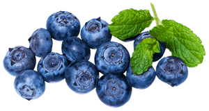 Fresh Blueberrieswith Mint Leaves PNG with transparent background