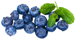 Fresh Blueberrieswith Mint Leaves PNG Image