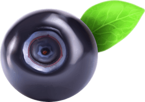 Blueberry Png Clipart - Single Blueberry In Transparent Background, Png Download PNG image with transparent background