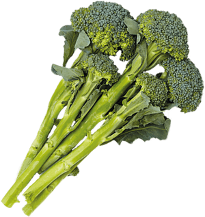 Broccoli , Png Download - Broccoli, Transparent Png PNG image with transparent background