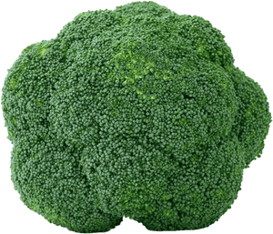 Green Broccoli Png Transparent Picture, Png Download PNG image with transparent background