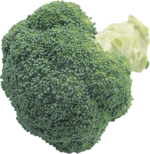 Dark Green Cauliflower, HD Png Download PNG image with transparent background