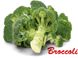Broccoli Png Picture - Broccoli Images With Names, Transparent Png PNG image with transparent background