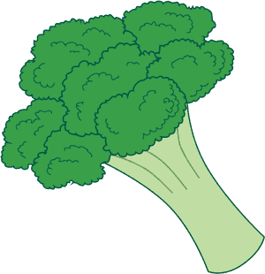 Pin By Courtney Patterson - Transparent Background Broccoli Clipart, HD Png Download PNG image with transparent background