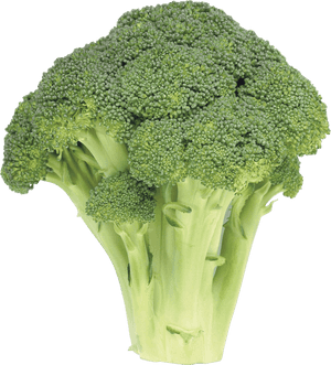 Broccoli - Broccoli Transparent, HD Png Download PNG image with transparent background