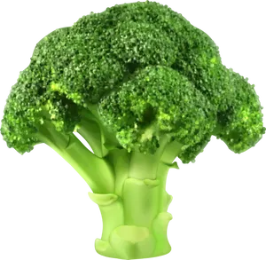 Fresh Broccoli Isolated.png PNG Image