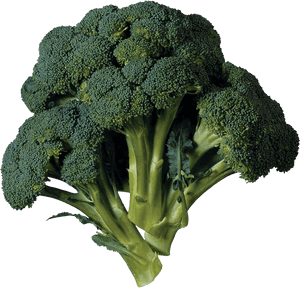 Green Broccoli Png Transparent Image, Png Download PNG image with transparent background