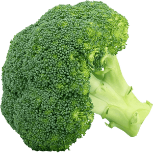 Broccoli Pictures Of Vegetables, HD Png Download PNG image with transparent background