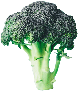 Green Broccoli Background Png, Transparent Png PNG image with transparent background