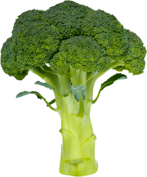 Broccoli Simple Or Complex Carbohydrate - Coke A Simple Or Complex Carbohydrate, HD Png Download PNG image with transparent background