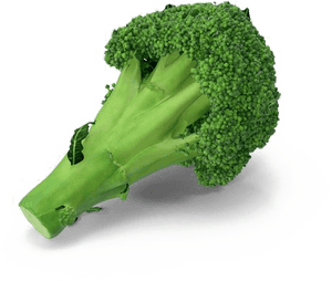 Broccoli Png Transparent Image - Portable Network Graphics, Png Download PNG image with transparent background