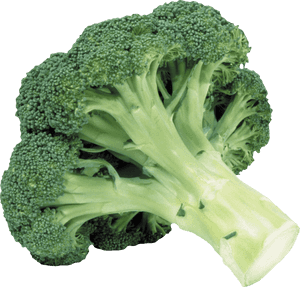 Broccoli - Holy Shit Is That A Motherfucking Reference, HD Png Download PNG image with transparent background