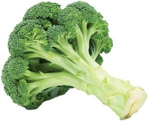 Green Broccoli Png Free Image Download - Broccoli A Vegetable, Transparent Png PNG image with transparent background